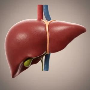 Guia Completo Saúde do Fígado