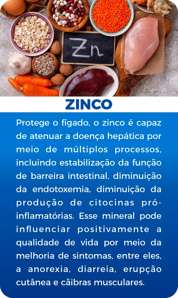 imgi_20_Zinco